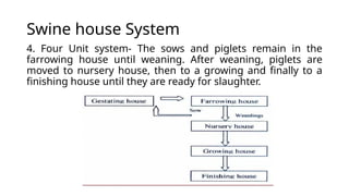 Swine house System
4. Four Unit system- The sows and piglets remain in the
farrowing house until weaning. After weaning, piglets are
moved to nursery house, then to a growing and finally to a
finishing house until they are ready for slaughter.
 