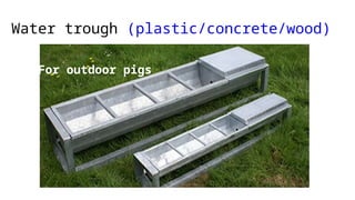 Water trough (plastic/concrete/wood)
For outdoor pigs
 