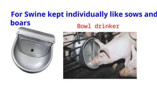 Bowl drinker
For Swine kept individually like sows and
boars
 