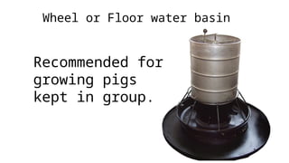 Wheel or Floor water basin
Recommended for
growing pigs
kept in group.
 