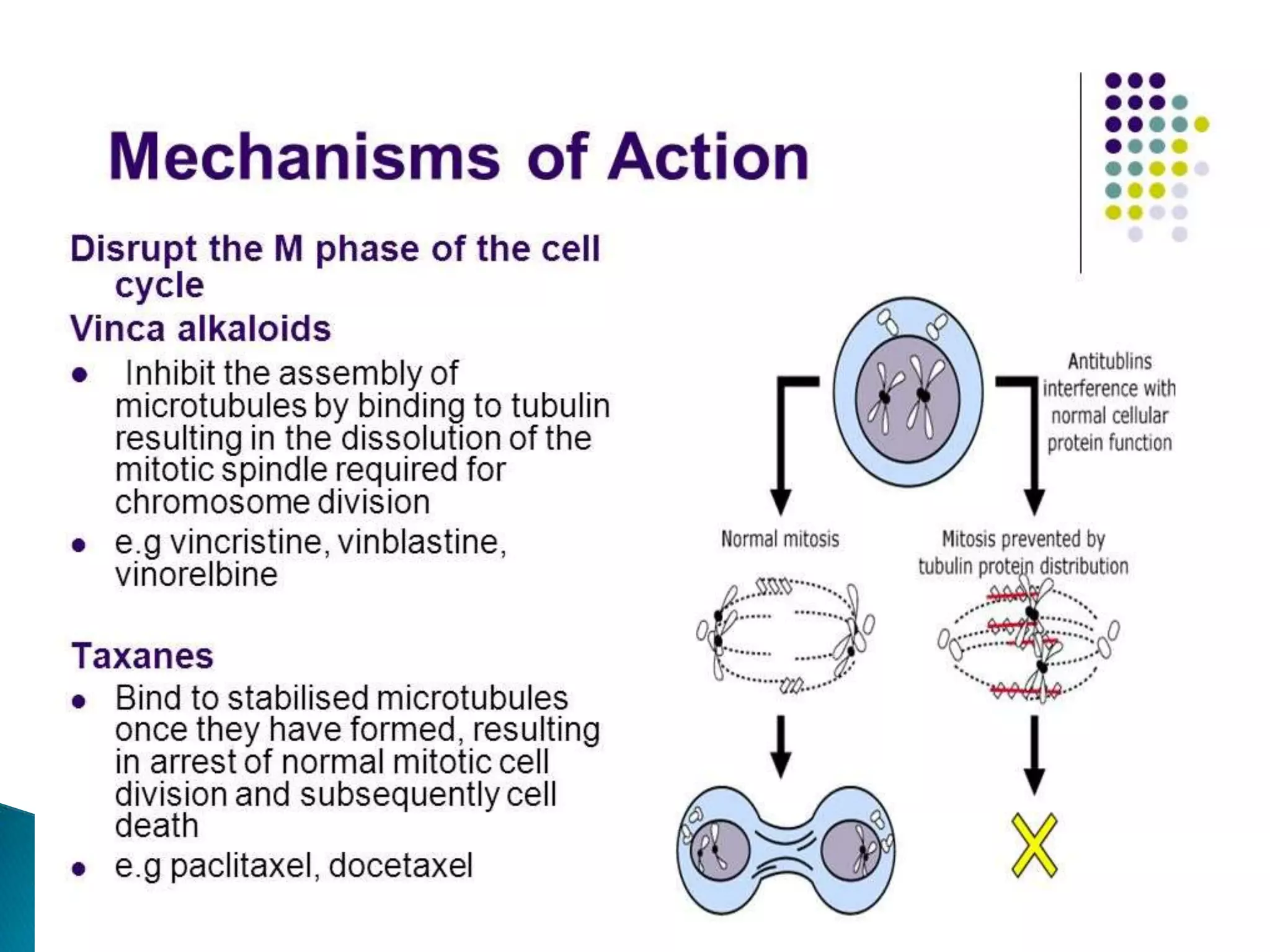 Overview and classification of chemotherapeutic agents and theory | PPTX
