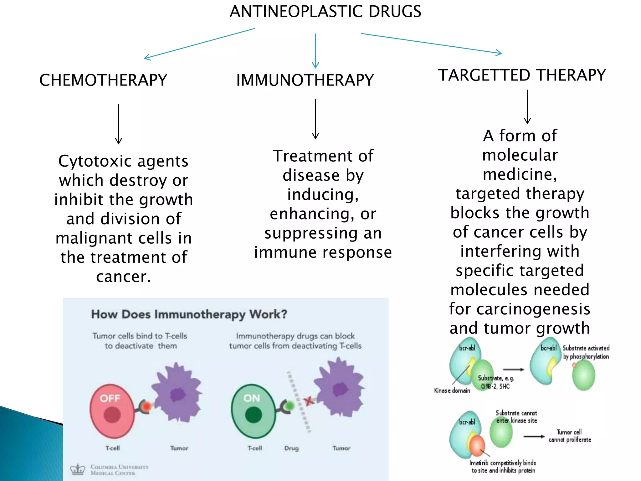 Overview and classification of chemotherapeutic agents and theory | PPTX