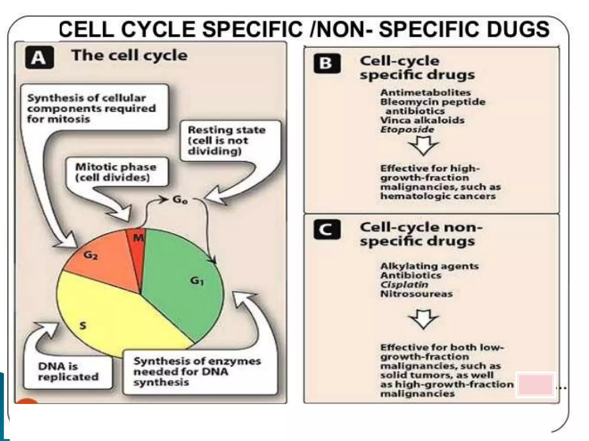 Overview and classification of chemotherapeutic agents and theory | PPTX