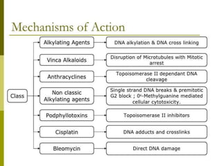 Overview and classification of chemotherapeutic agents and theory | PPTX