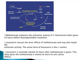Overview and classification of chemotherapeutic agents and theory | PPTX
