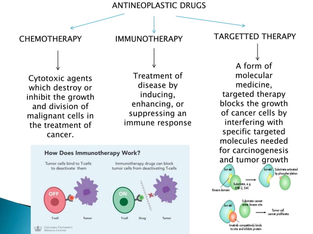 Overview and classification of chemotherapeutic agents and theory ...