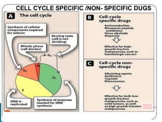 Overview and classification of chemotherapeutic agents and theory | PPTX