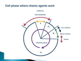Overview and classification of chemotherapeutic agents and theory | PPTX