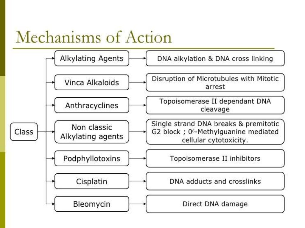 Overview and classification of chemotherapeutic agents and theory