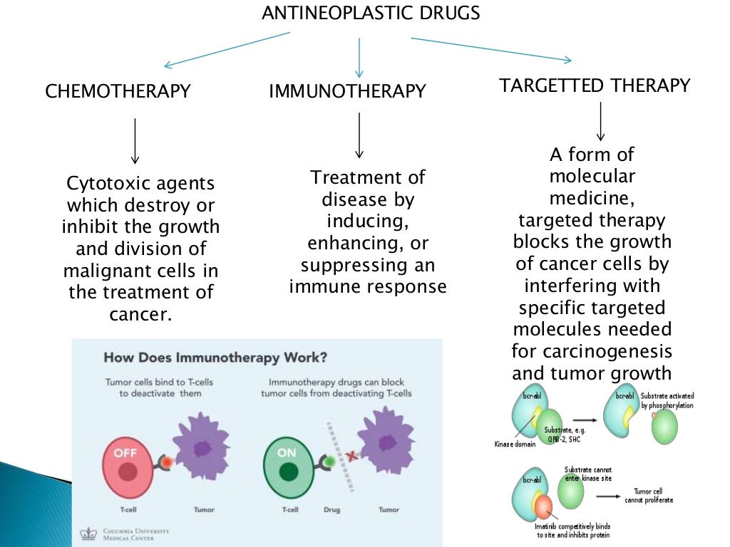 Overview and classification of chemotherapeutic agents and theory