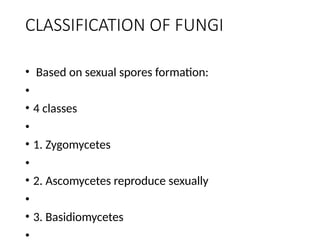 OVERVIEW AND CLASSIFICATION OF FUNGI OF MEDICAL IMPORTANCE (1).pptx