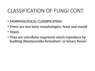 OVERVIEW AND CLASSIFICATION OF FUNGI OF MEDICAL IMPORTANCE (1).pptx