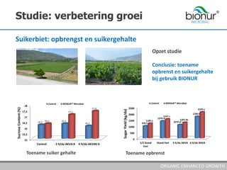 Studie: verbetering groei
ORGANIC ENHANCED GROWTH
Suikerbiet: opbrengst en suikergehalte
Opzet studie
Conclusie: toename
o...