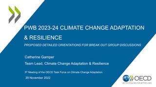 PWB 2023-24 CLIMATE CHANGE ADAPTATION
& RESILIENCE
PROPOSED DETAILED ORIENTATIONS FOR BREAK OUT GROUP DISCUSSIONS
Catherine Gamper
Team Lead, Climate Change Adaptation & Resilience
5th Meeting of the OECD Task Force on Climate Change Adaptation
29 November 2022
 