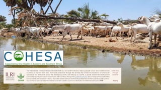  Capacitating One Health in Eastern and Southern Africa: An overview