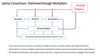  Capacitating One Health in Eastern and Southern Africa: An overview