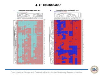 NGS data analysis Overview | PDF