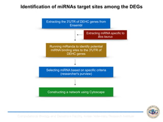 NGS data analysis Overview | PDF