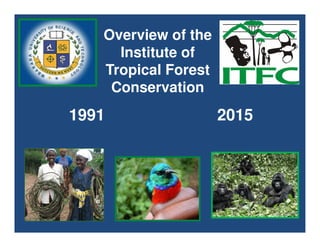 1991 2015
Overview of the
Institute of
Tropical Forest
Conservation
1991 2015
 