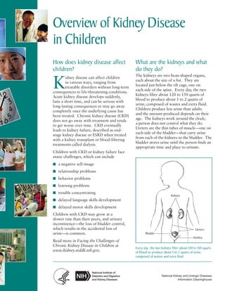 Overview of Kidney Disease

in Children
How does kidney disease affect
children?

What are the kidneys and what
do they do?

idney disease can affect children
in various ways, ranging from
treatable disorders without long-term
consequences to life-threatening conditions.
Acute kidney disease develops suddenly,
lasts a short time, and can be serious with
long-lasting consequences or may go away
completely once the underlying cause has
been treated. Chronic kidney disease (CKD)
does not go away with treatment and tends
to get worse over time. CKD eventually
leads to kidney failure, described as endstage kidney disease or ESRD when treated
with a kidney transplant or blood-filtering
treatments called dialysis.

The kidneys are two bean-shaped organs,
each about the size of a fist. They are
located just below the rib cage, one on
each side of the spine. Every day, the two
kidneys filter about 120 to 150 quarts of
blood to produce about 1 to 2 quarts of
urine, composed of wastes and extra fluid.
Children produce less urine than adults
and the amount produced depends on their
age. The kidneys work around the clock;
a person does not control what they do.
Ureters are the thin tubes of muscle—one on
each side of the bladder—that carry urine
from each of the kidneys to the bladder. The
bladder stores urine until the person finds an
appropriate time and place to urinate.

K

Children with CKD or kidney failure face
many challenges, which can include
■ a negative self-image
■ relationship problems
■ behavior problems
■ learning problems
■ trouble concentrating

Kidneys

■ delayed language skills development
■ delayed motor skills development

Children with CKD may grow at a
slower rate than their peers, and urinary
incontinence—the loss of bladder control,
which results in the accidental loss of
urine—is common.
Read more in Facing the Challenges of
Chronic Kidney Disease in Children at
www.kidney.niddk.nih.gov.

Bladder

Ureters
Urethra

Every day, the two kidneys filter about 120 to 150 quarts
of blood to produce about 1 to 2 quarts of urine,
composed of wastes and extra fluid.

National Kidney and Urologic Diseases
Information Clearinghouse

 