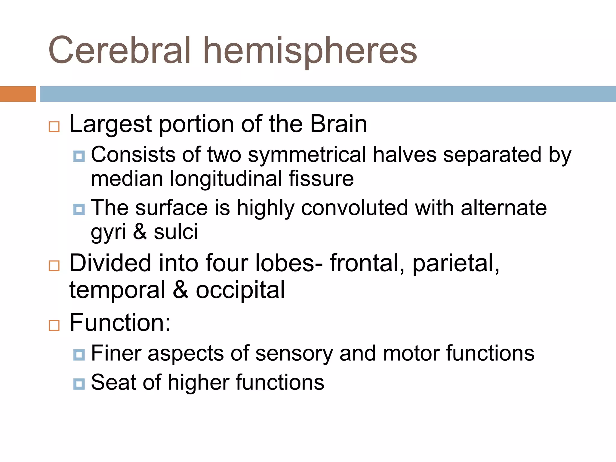 Cerebral hemispheres
 Largest portion of the Brain
 Consists of two symmetrical halves separated by
median longitudinal fissure
 The surface is highly convoluted with alternate
gyri & sulci
 Divided into four lobes- frontal, parietal,
temporal & occipital
 Function:
 Finer aspects of sensory and motor functions
 Seat of higher functions
 