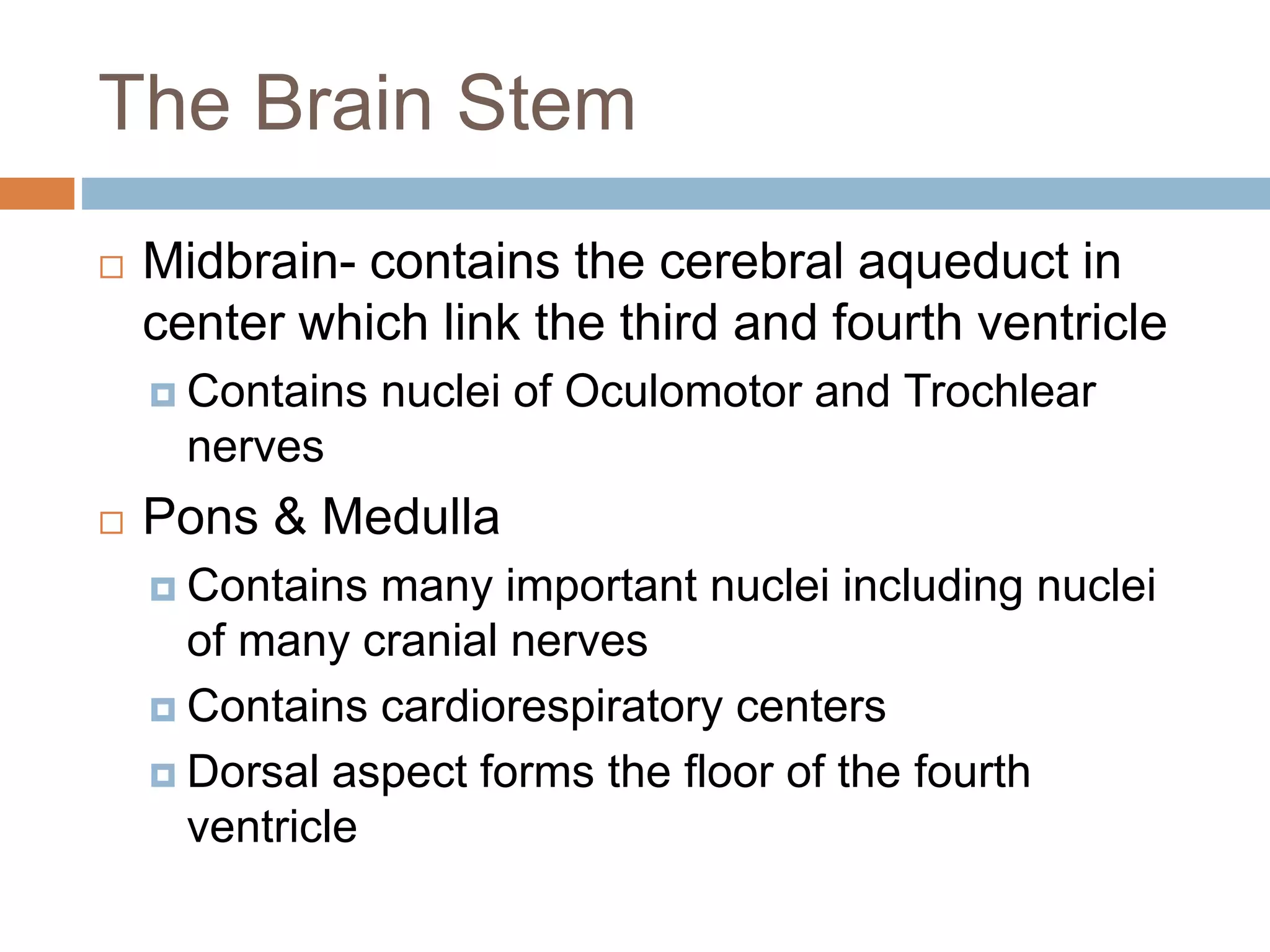 The Brain Stem
 Midbrain- contains the cerebral aqueduct in
center which link the third and fourth ventricle
 Contains nuclei of Oculomotor and Trochlear
nerves
 Pons & Medulla
 Contains many important nuclei including nuclei
of many cranial nerves
 Contains cardiorespiratory centers
 Dorsal aspect forms the floor of the fourth
ventricle
 