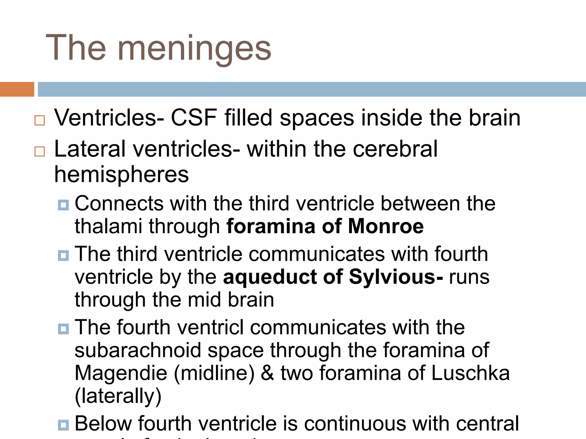  Ventricles- CSF filled spaces inside the brain
 Lateral ventricles- within the cerebral
hemispheres
 Connects with the third ventricle between the
thalami through foramina of Monroe
 The third ventricle communicates with fourth
ventricle by the aqueduct of Sylvious- runs
through the mid brain
 The fourth ventricl communicates with the
subarachnoid space through the foramina of
Magendie (midline) & two foramina of Luschka
(laterally)
 Below fourth ventricle is continuous with central
The meninges
 