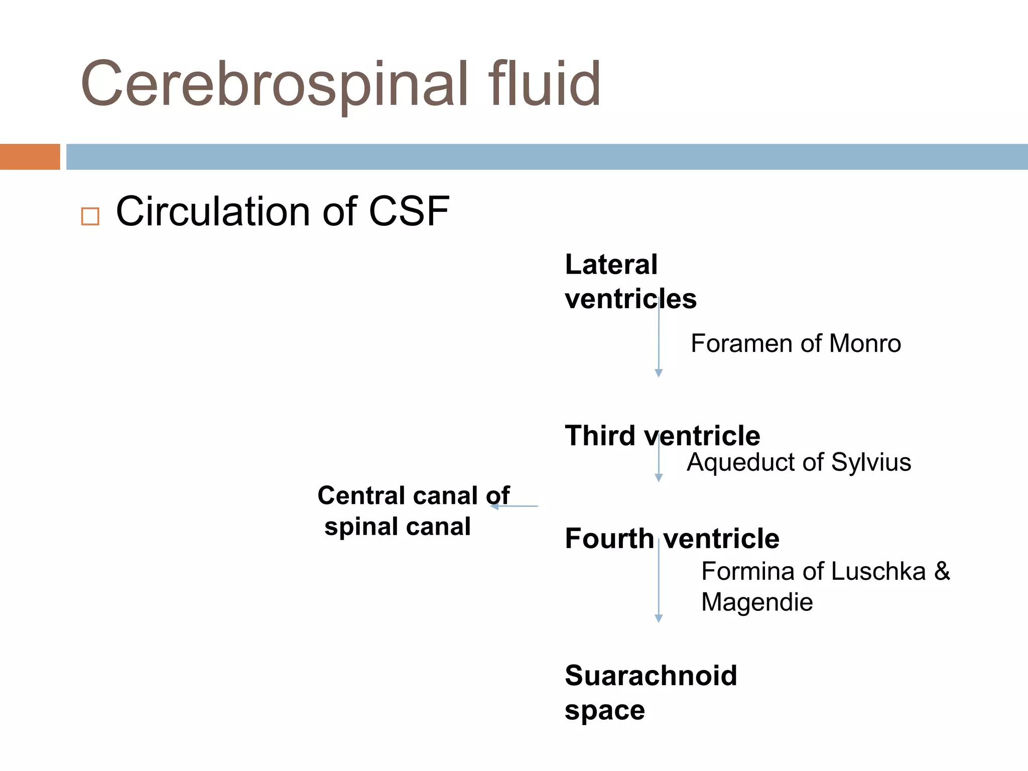 Cerebrospinal fluid
 Circulation of CSF
Lateral
ventricles
Third ventricle
Fourth ventricle
Suarachnoid
space
Foramen of Monro
Aqueduct of Sylvius
Formina of Luschka &
Magendie
Central canal of
spinal canal
 
