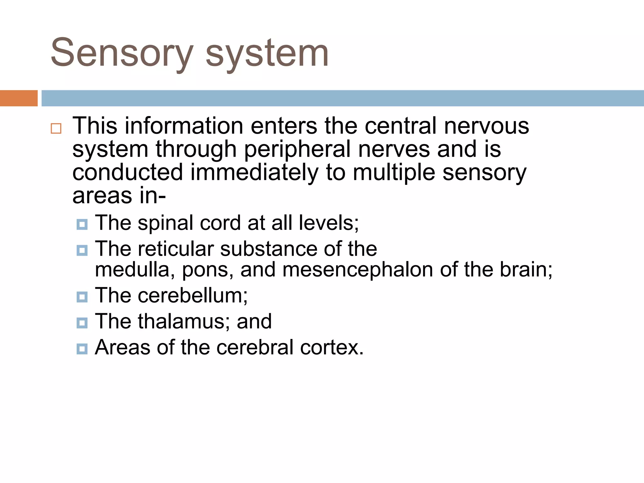 Sensory system
 This information enters the central nervous
system through peripheral nerves and is
conducted immediately to multiple sensory
areas in-
 The spinal cord at all levels;
 The reticular substance of the
medulla, pons, and mesencephalon of the brain;
 The cerebellum;
 The thalamus; and
 Areas of the cerebral cortex.
 