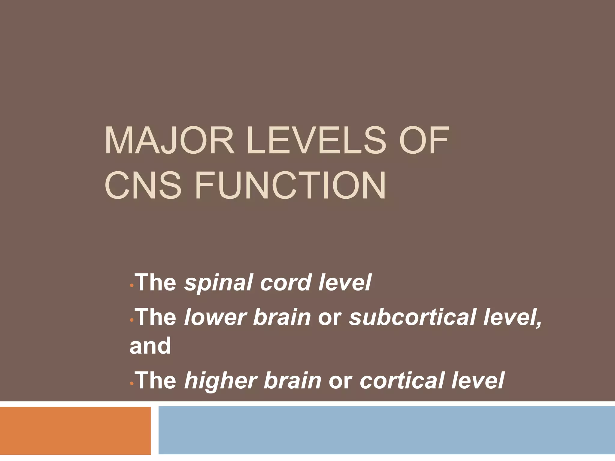 MAJOR LEVELS OF
CNS FUNCTION
•The spinal cord level
•The lower brain or subcortical level,
and
•The higher brain or cortical level
 