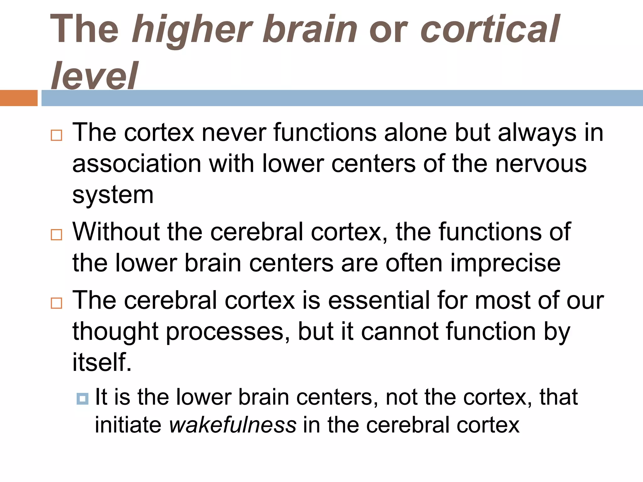 The higher brain or cortical
level
 The cortex never functions alone but always in
association with lower centers of the nervous
system
 Without the cerebral cortex, the functions of
the lower brain centers are often imprecise
 The cerebral cortex is essential for most of our
thought processes, but it cannot function by
itself.
 It is the lower brain centers, not the cortex, that
initiate wakefulness in the cerebral cortex
 