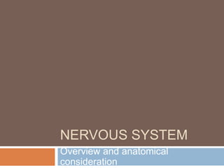 NERVOUS SYSTEM
Overview and anatomical
consideration
 