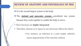 REVIEW OF ANATOMY AND PHYSIOLOGY OF MSS
It is the second largest system in the body.
The skeletal and muscular systems considered one system
because they work together to enable the body to move.
 Their functions are highly integrated
 Therefore, disease in or injury to one adversely affects the others.
 For instance, an infection in a joint (septic arthritis)
causes degeneration of the articular surfaces
 