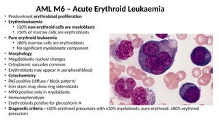 Overview of AML and WHO latest classification. | PPTX