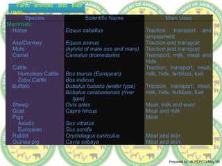 Overview of Animal Science presentation.ppsx