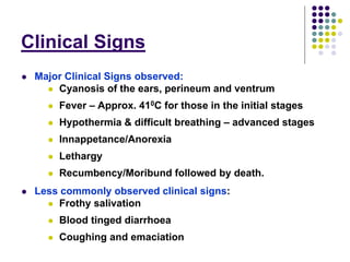 Overview of ASF impact and surveillance in Kenya
