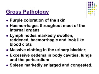 Overview of ASF impact and surveillance in Kenya