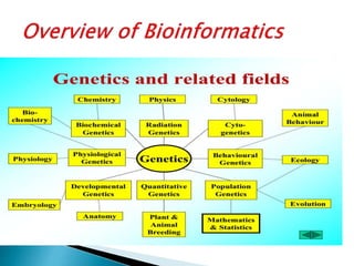 Overview of bioinformatics