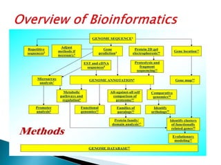 Overview of bioinformatics