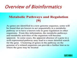 Overview of bioinformatics