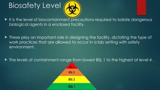 OVERVIEW OF BIOSAFETY CABINET pptx...pptx