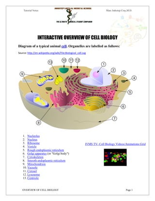 Tutorial Notes                                                         Marc Imhotep Cray,M.D.




                 INTERACTIVE OVERVIEW OF CELL BIOLOGY
Diagram of a typical animal cell. Organelles are labelled as follows:
Source: http://en.wikipedia.org/wiki/File:Biological_cell.svg




    1. Nucleolus
    2. Nucleus
    3. Ribosome                                             IVMS TV- Cell Biology Videos/Animations Grid
    4. Vesicle
    5. Rough endoplasmic reticulum
    6. Golgi apparatus (or "Golgi body")
    7. Cytoskeleton
    8. Smooth endoplasmic reticulum
    9. Mitochondrion
    10. Vacuole
    11. Cytosol
    12. Lysosome
    13. Centriole


   OVERVIEW OF CELL BIOLOGY                                                                Page 1
 