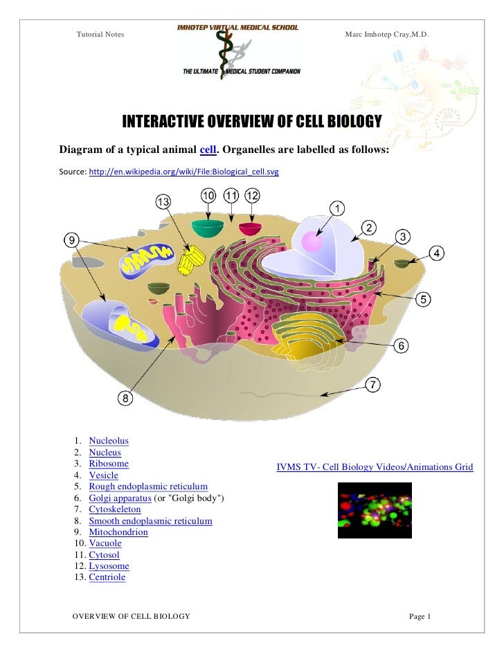 Download Ivms Overview Of Cell Biology