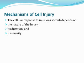 Mechanisms of Cell Injury
 The cellular response to injurious stimuli depends on
the nature of the injury,
its duration, and
its severity.
 