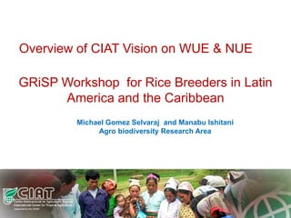 Overview of CIAT Vision on WUE & NUE

GRiSP Workshop for Rice Breeders in Latin
      America and the Caribbean
         Michael Gomez Selvaraj and Manabu Ishitani
              Agro biodiversity Research Area
 
