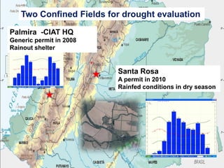 Overview of ciat vision on wue & nue