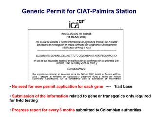Overview of ciat vision on wue & nue
