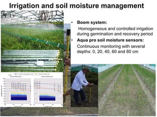 Overview of ciat vision on wue & nue