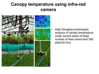 Overview of ciat vision on wue & nue