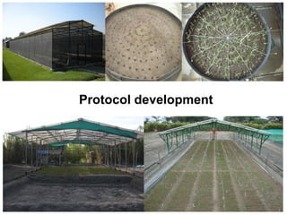 Overview of ciat vision on wue & nue